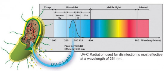 Ultraviolet spectrum
